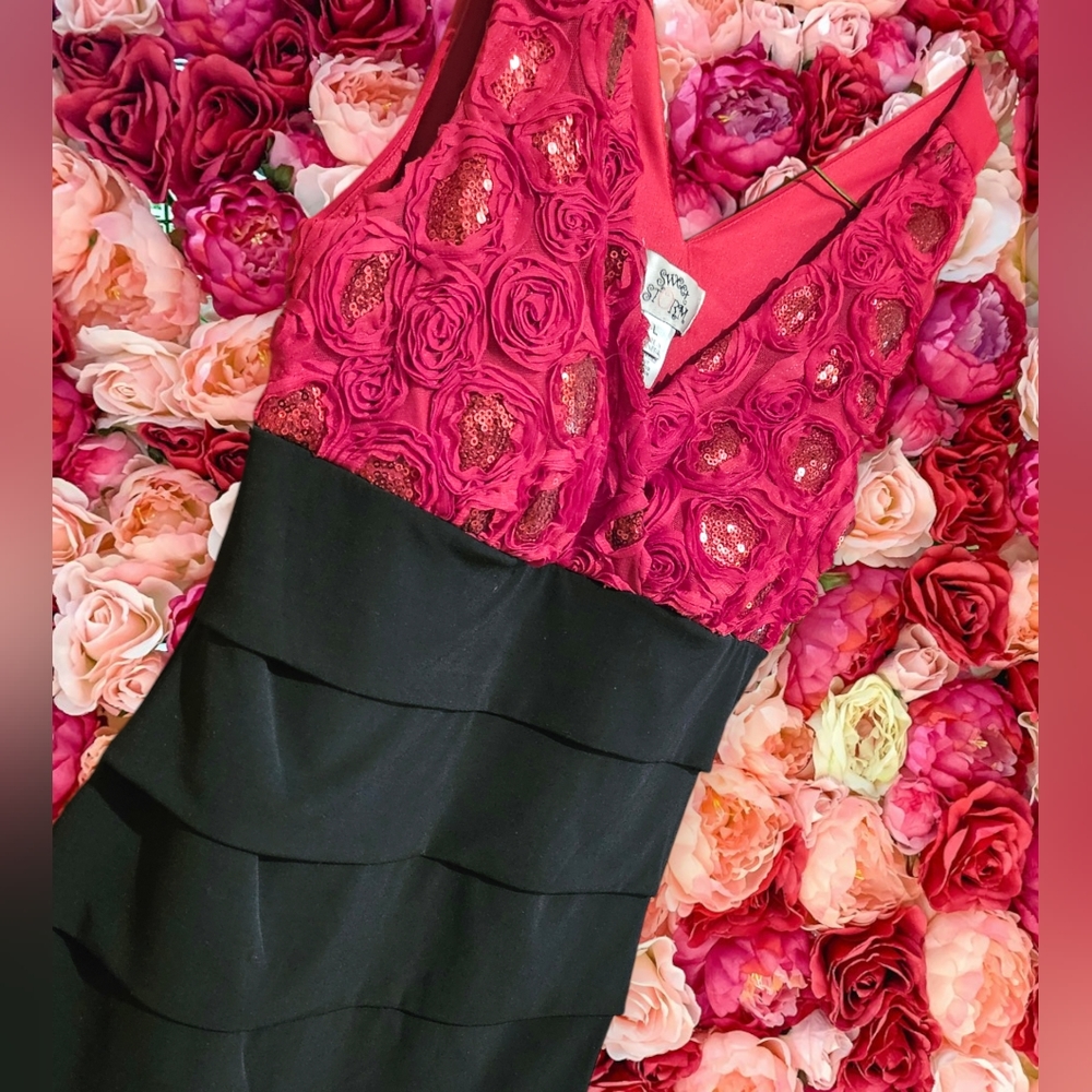 Sweet Storm Red Rose Sleeveless Sequined Dress Size Large